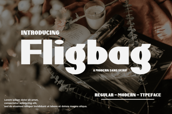 Fligbag: A Modern Display Font for Campaign Creators