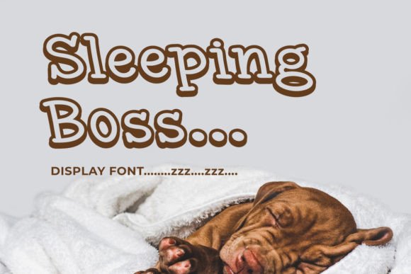 Sleeping Boss Font for Handmade Labels, Invitations, and Shop Branding